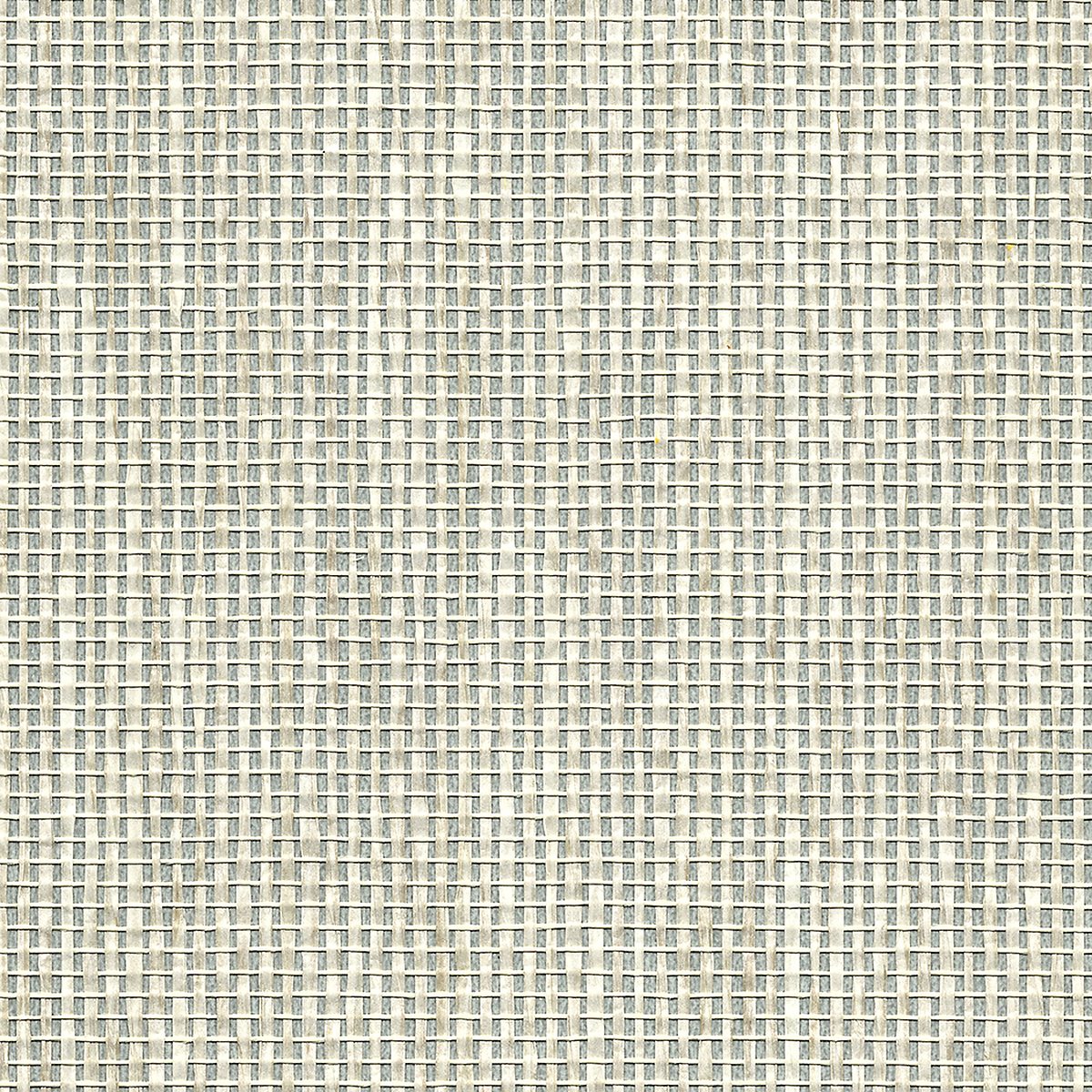 Coastal Weaves Riverine 4381