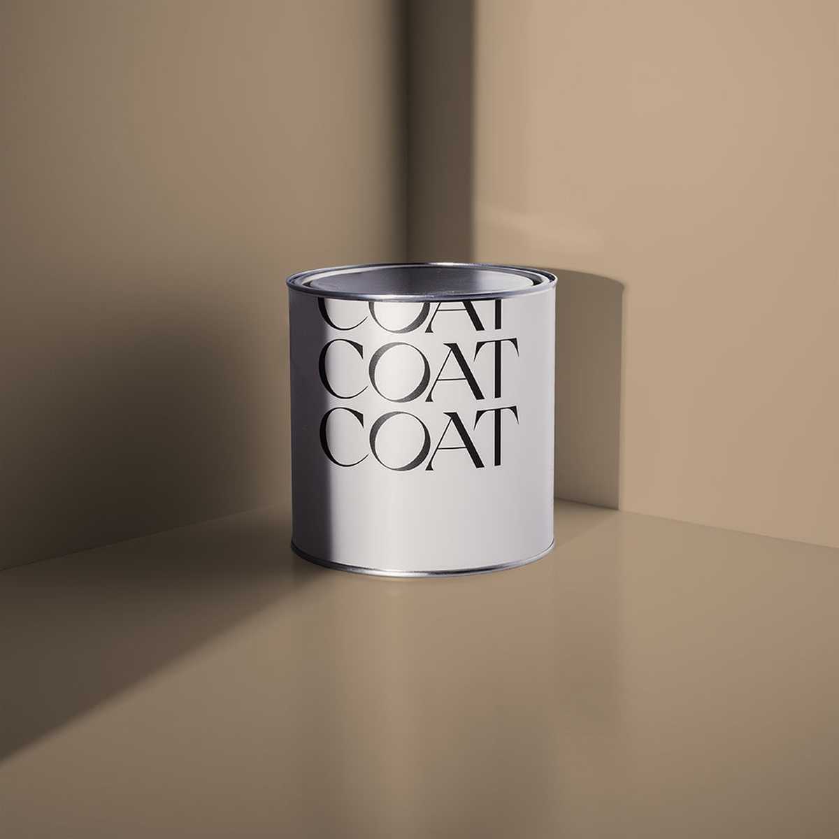 Buon Fresco Paint
