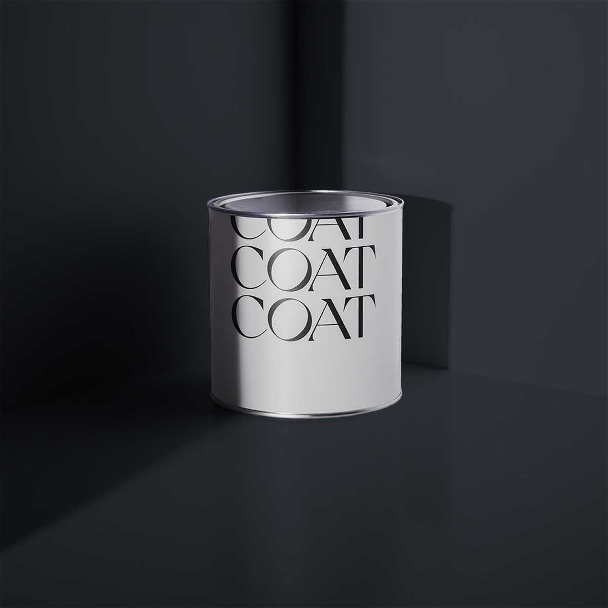 David Rose Paint