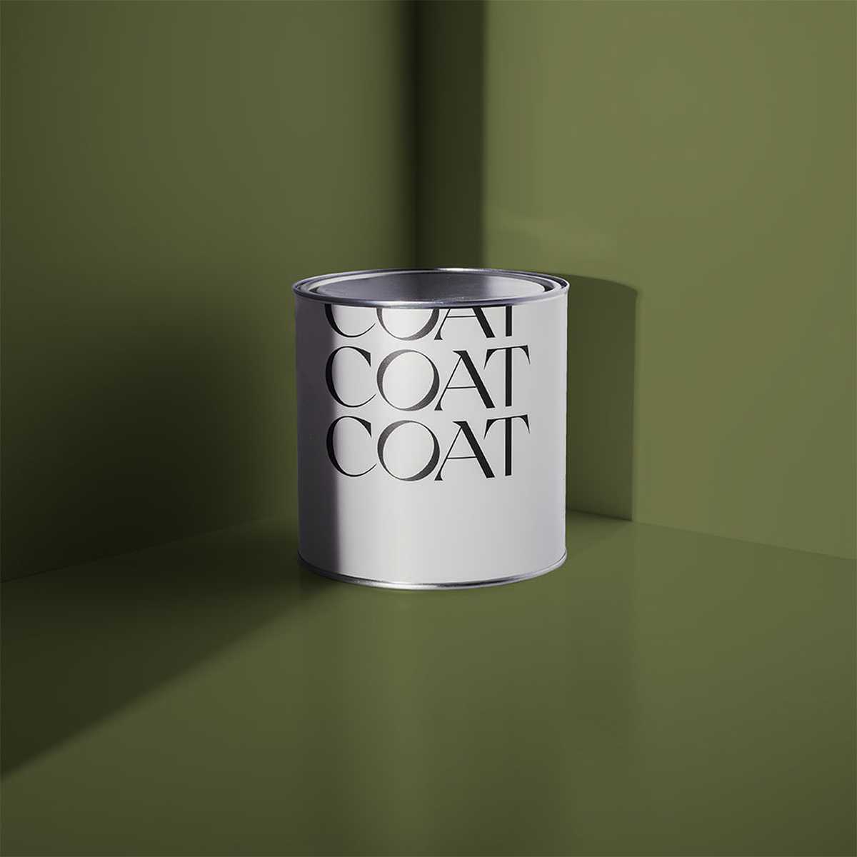 King George Paint