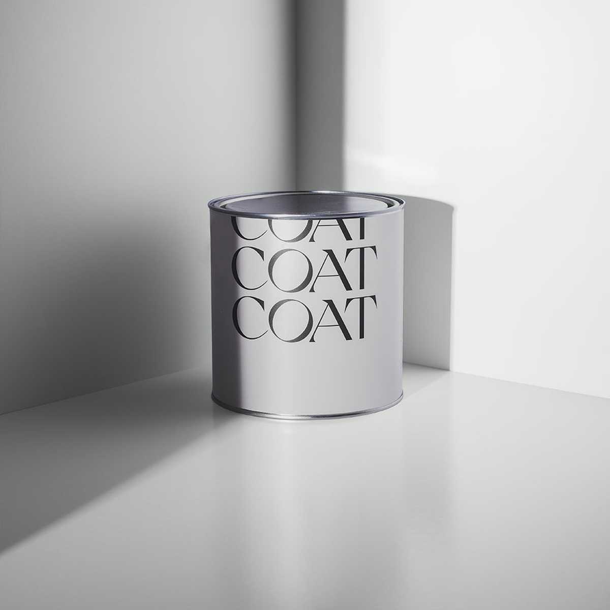 Low Salt Paint