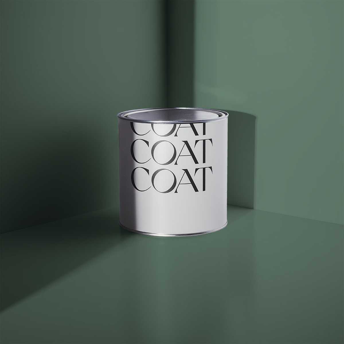 Mansard Paint