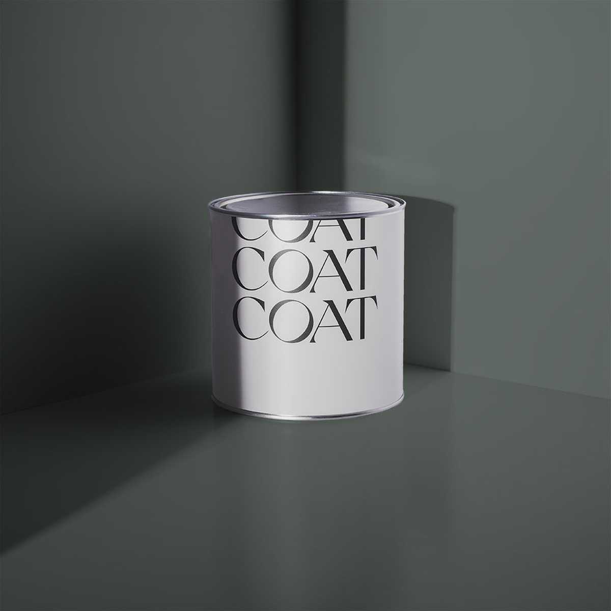 The Coal Drop Paint