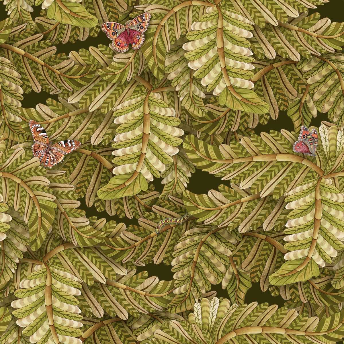 Acacia Canopy 129-4014