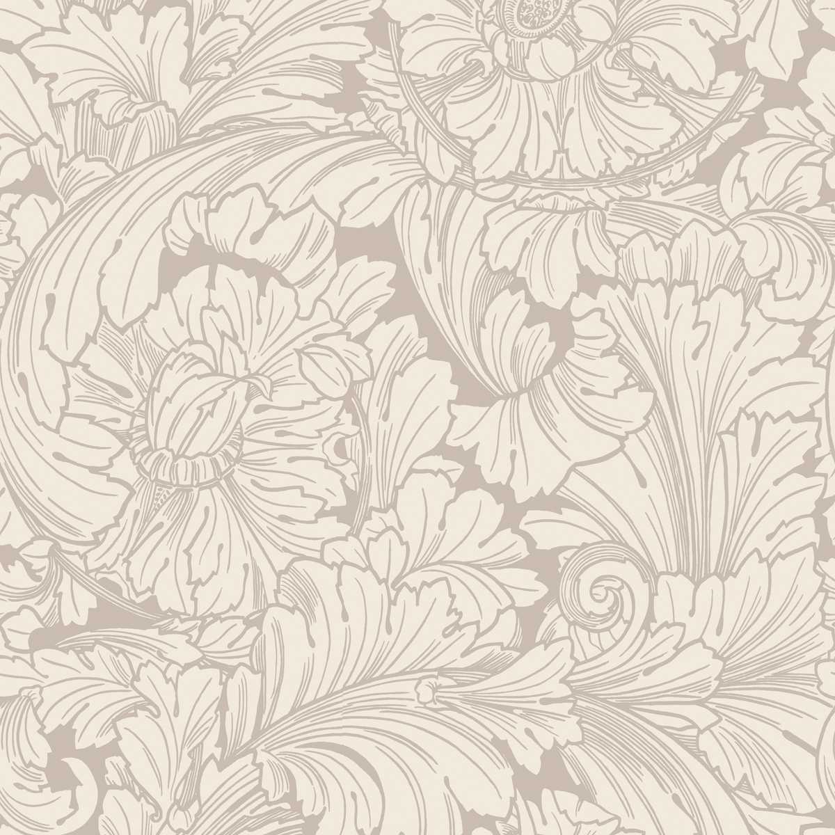 Acanthus 127-6029