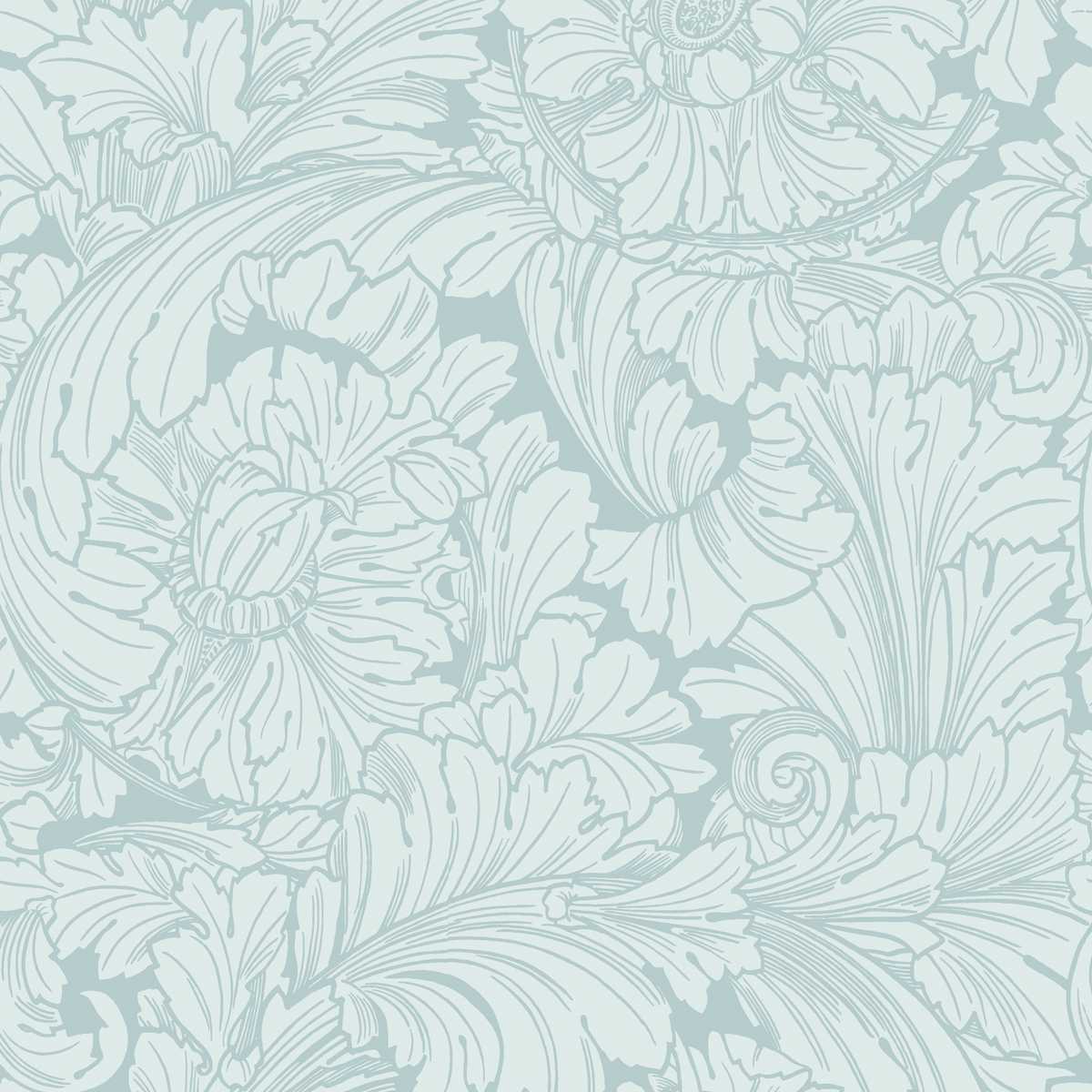 Acanthus 127-6030