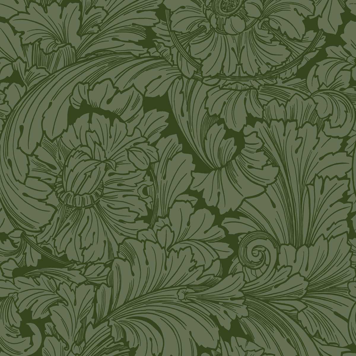 Acanthus 127-6031