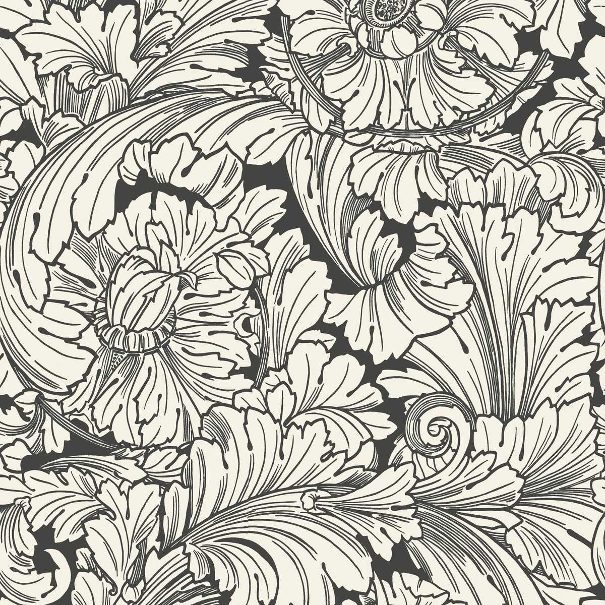 Acanthus 127-6032