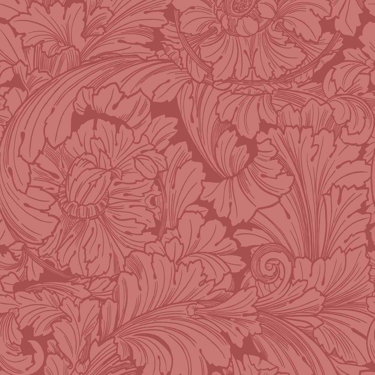 Acanthus 127-6033