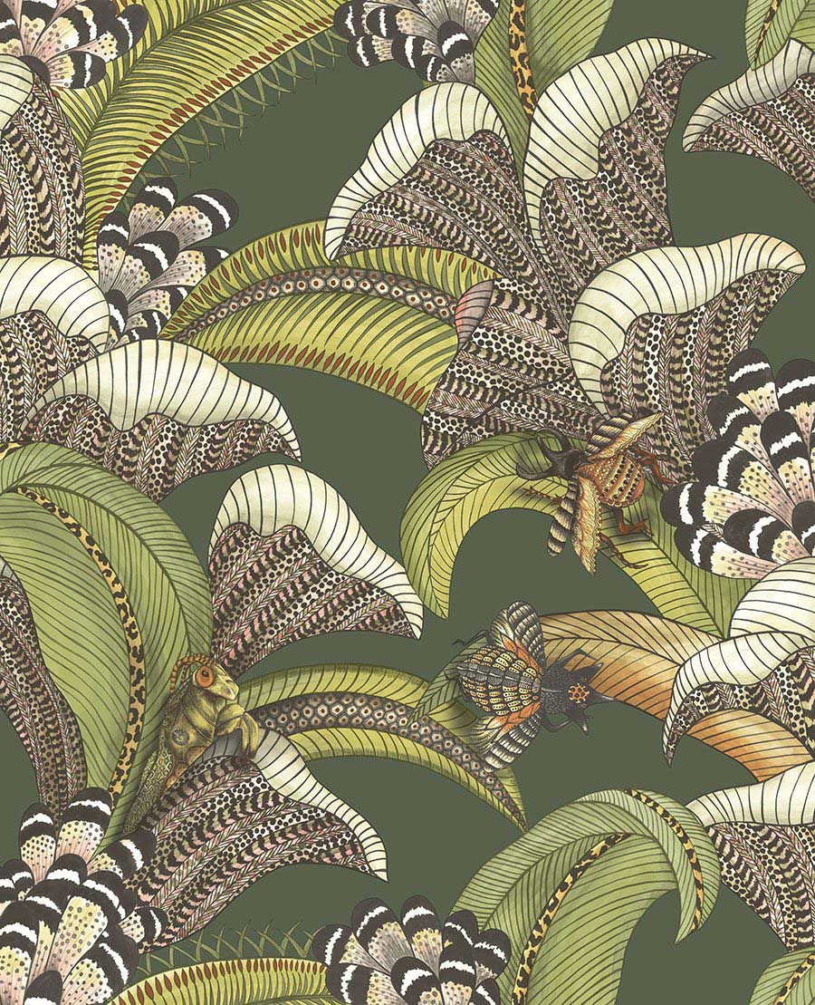Hoopoe Leaves 119-1003