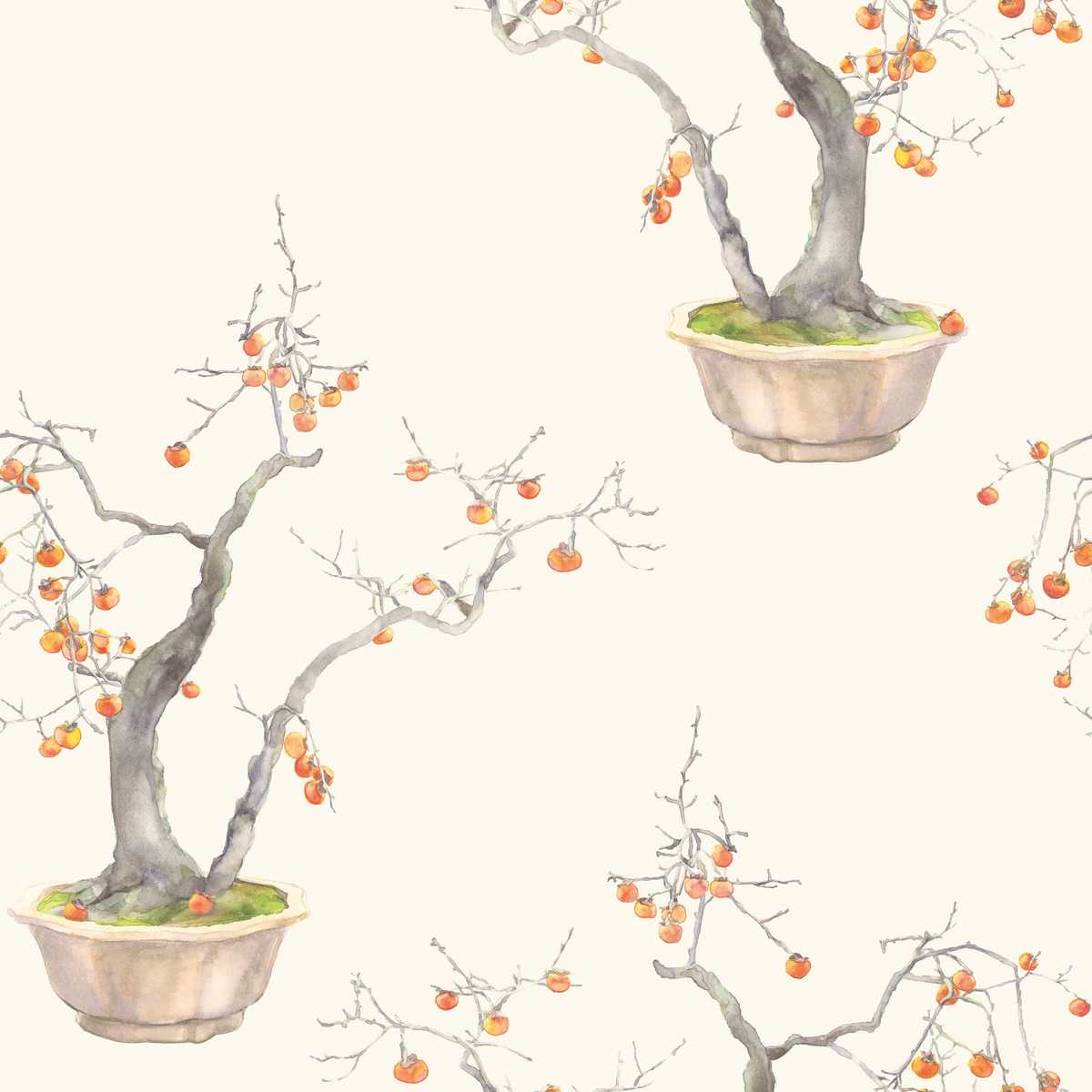 Kaki Persimmon 126-2003