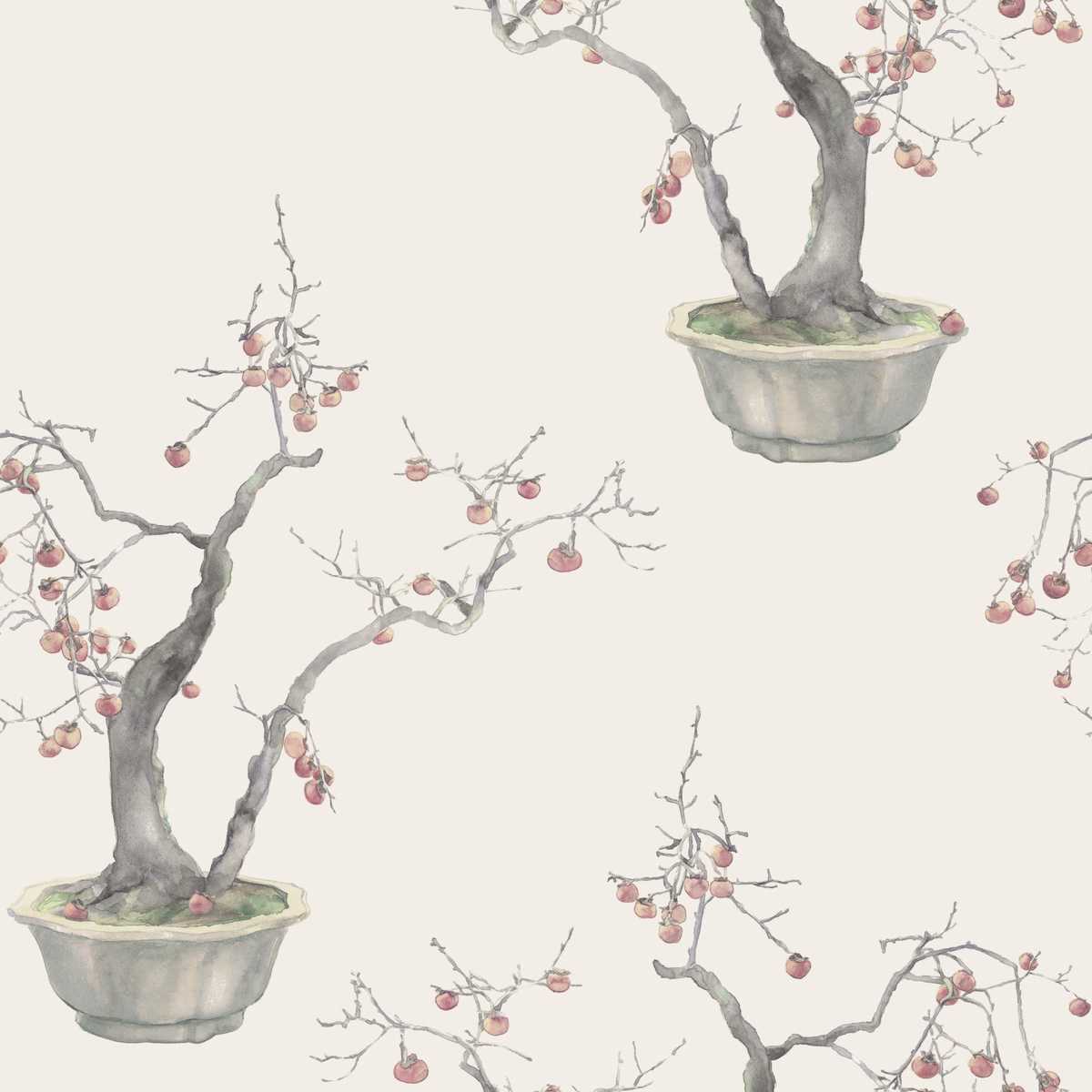 Kaki Persimmon 126-2004