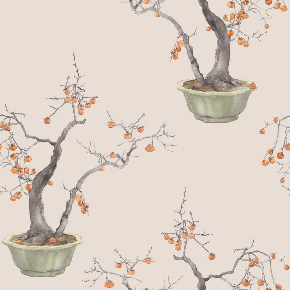 Kaki Persimmon 126-2005