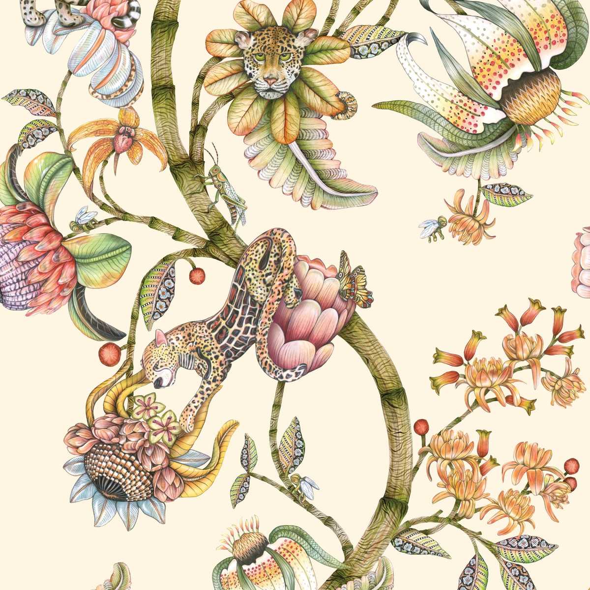 Protea Panthera 129-6021