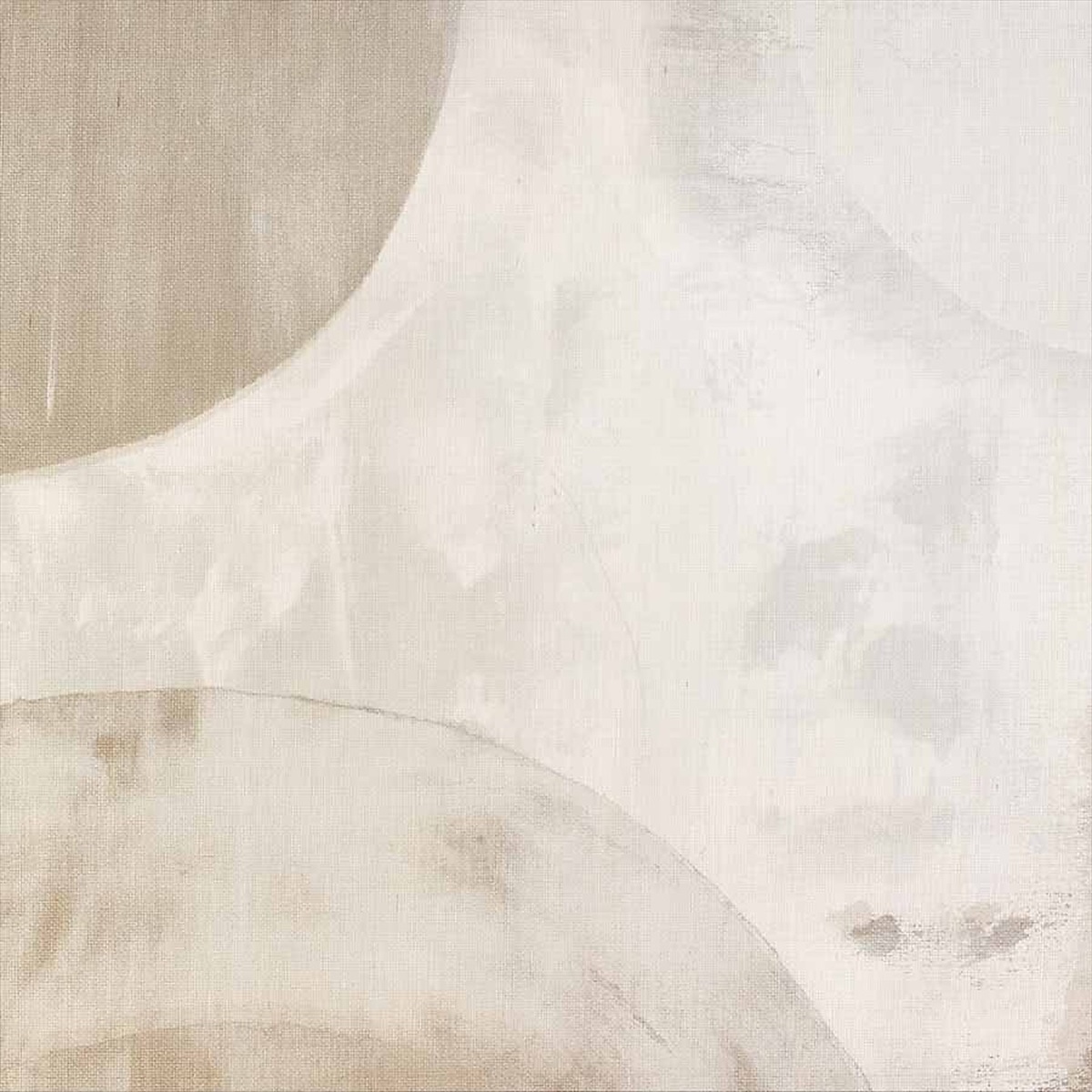 Collage 5041