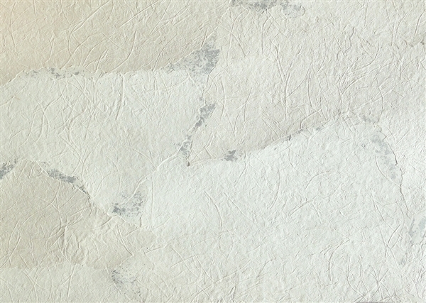 Collages COL2010