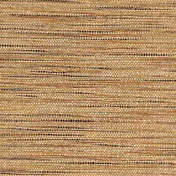 Colleton W79077