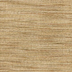 Colleton W79078