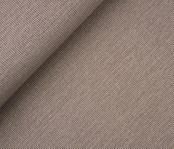 Collin 2461-03