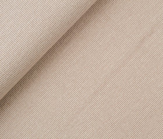 Collin 2461-06