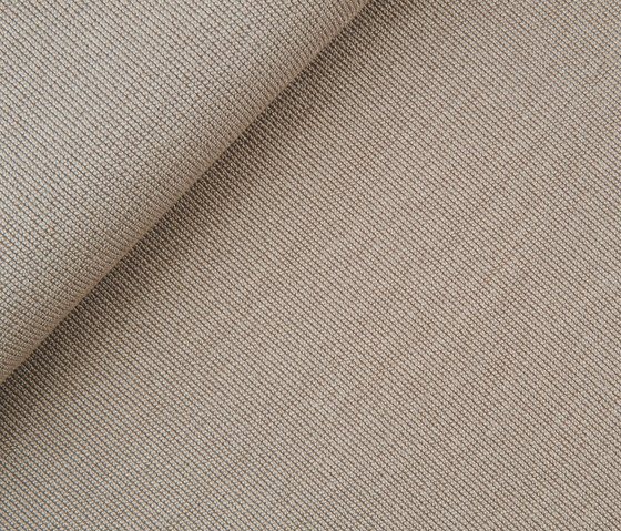 Collin 2461-09