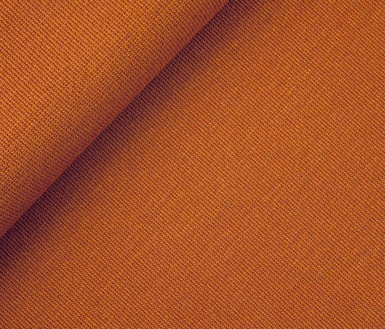 Collin 2461-19