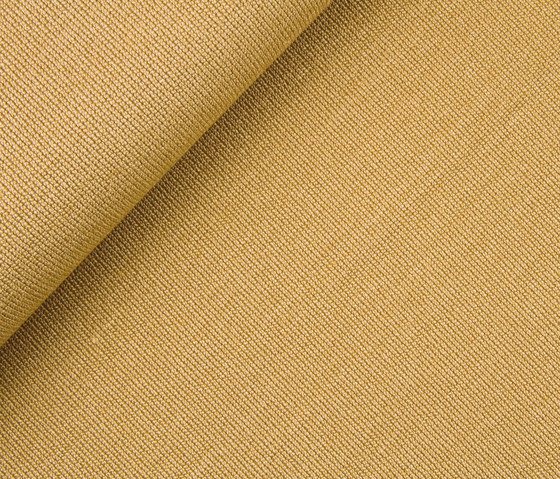 Collin 2461-20