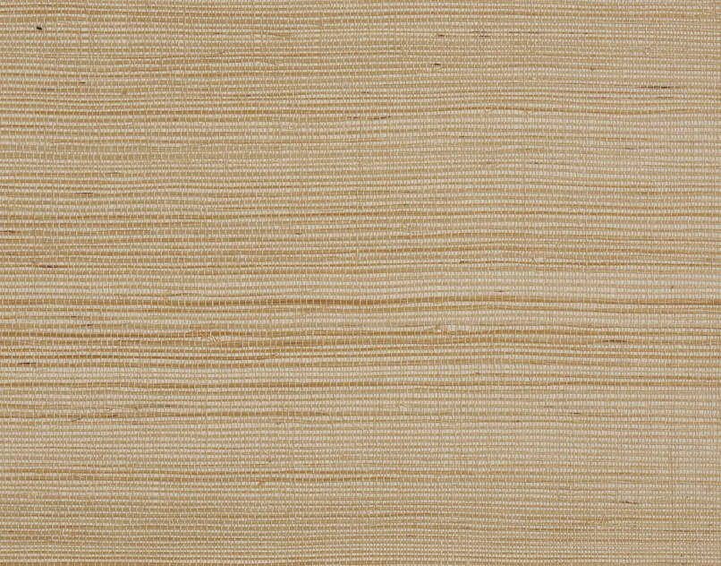 Colomba FP391001