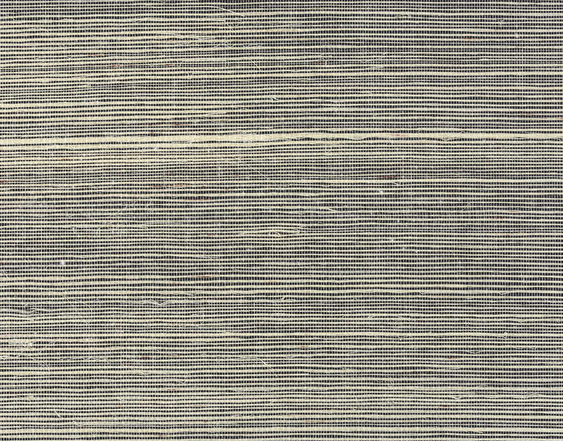Colomba FP391004