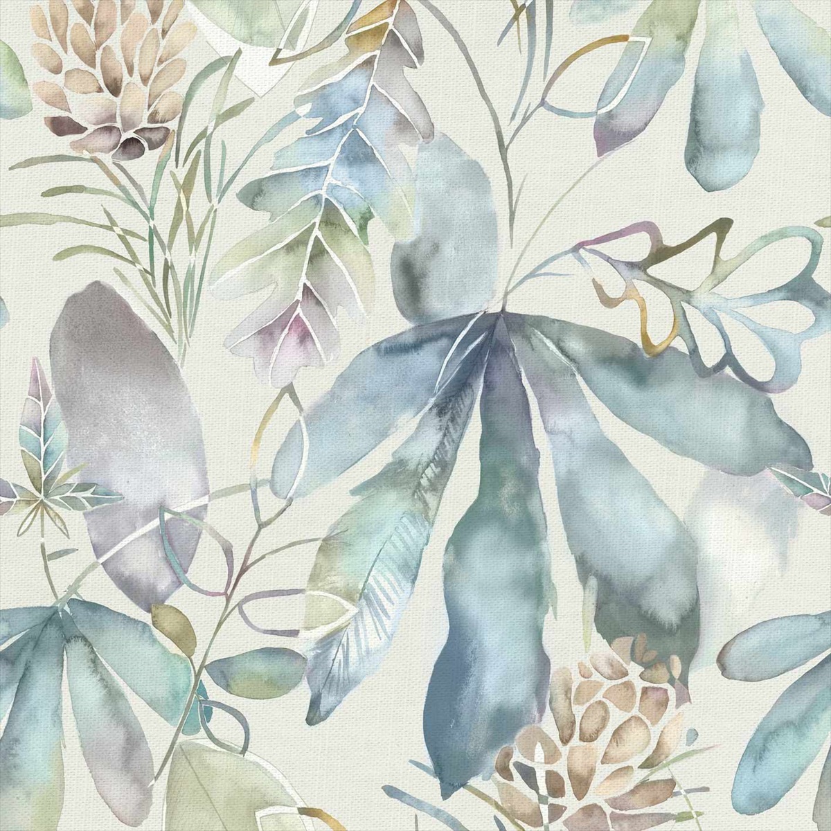 Conifer Capri