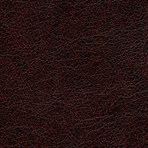 Conquistador VP 690 13