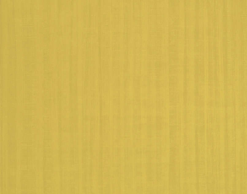 Contrefond Mojito FP329002