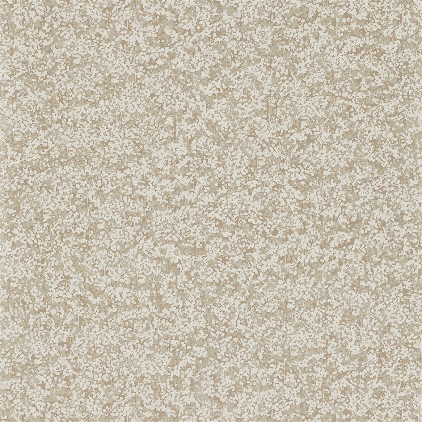 Coral 110765