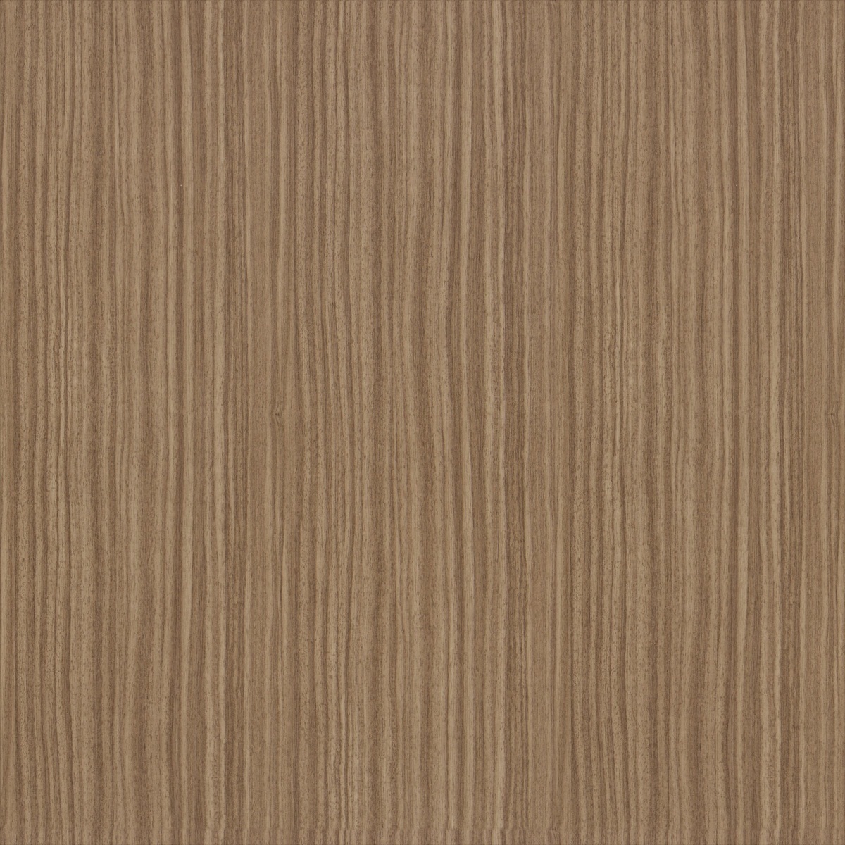 Correggio CA8257-020