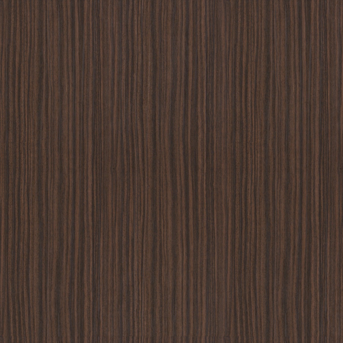 Correggio CA8257-021