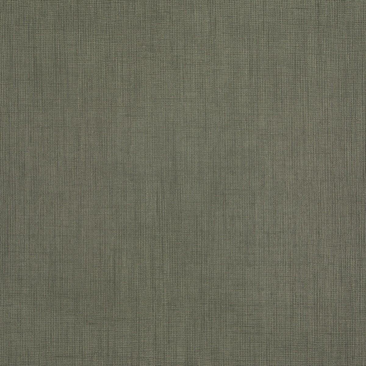 Corridini CA8249-031