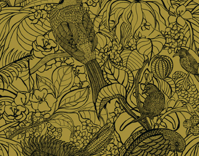 Costa Rica FP440003