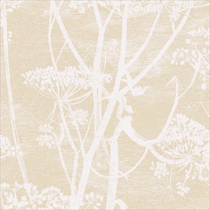 Cow Parsley 66-7049