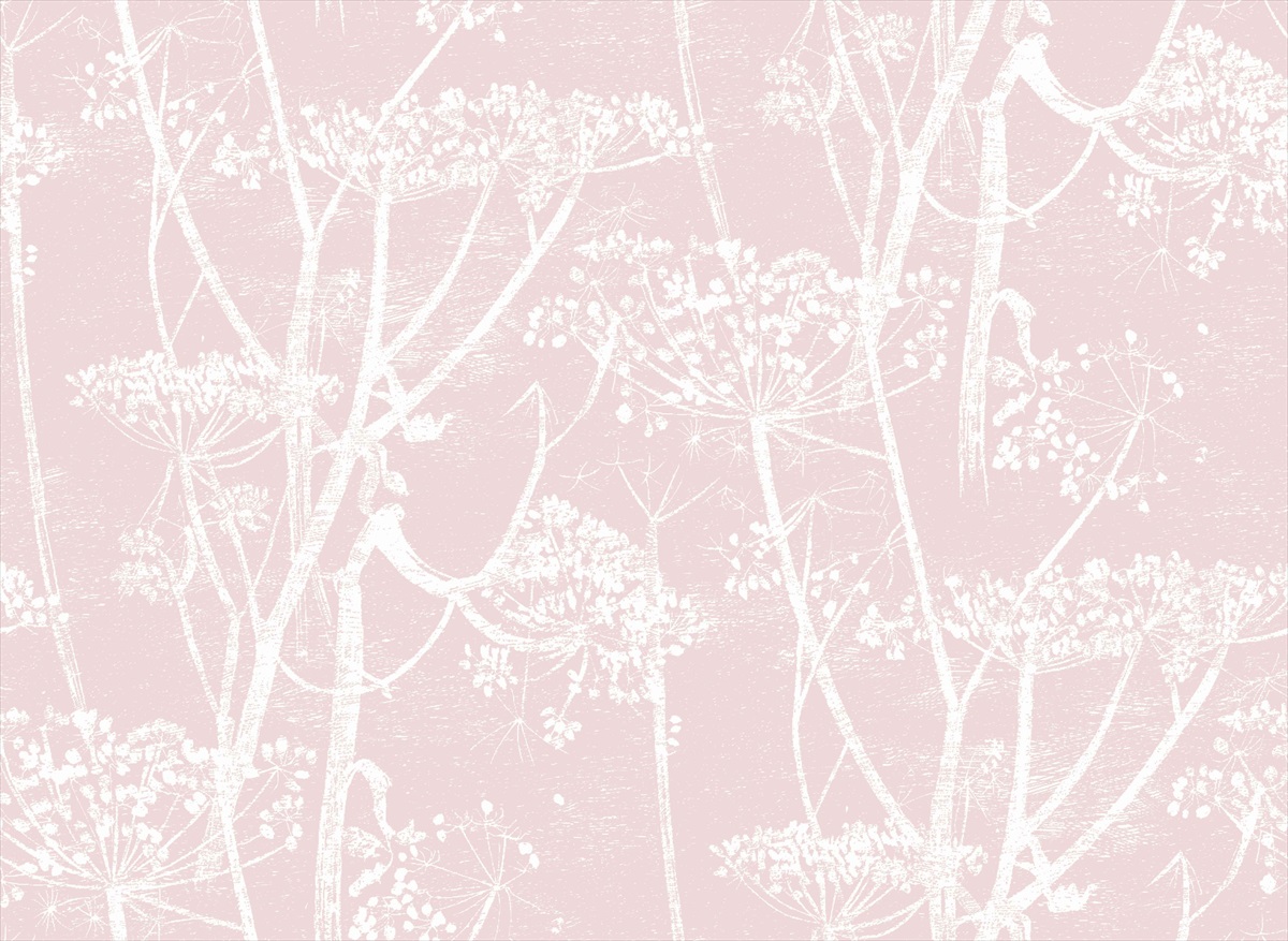Cow Parsley F111-5018