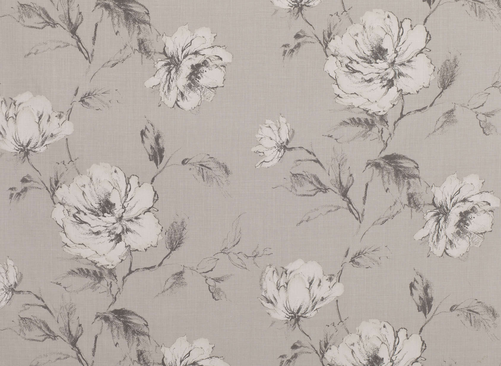 Cressida Feather Grey 7781-01
