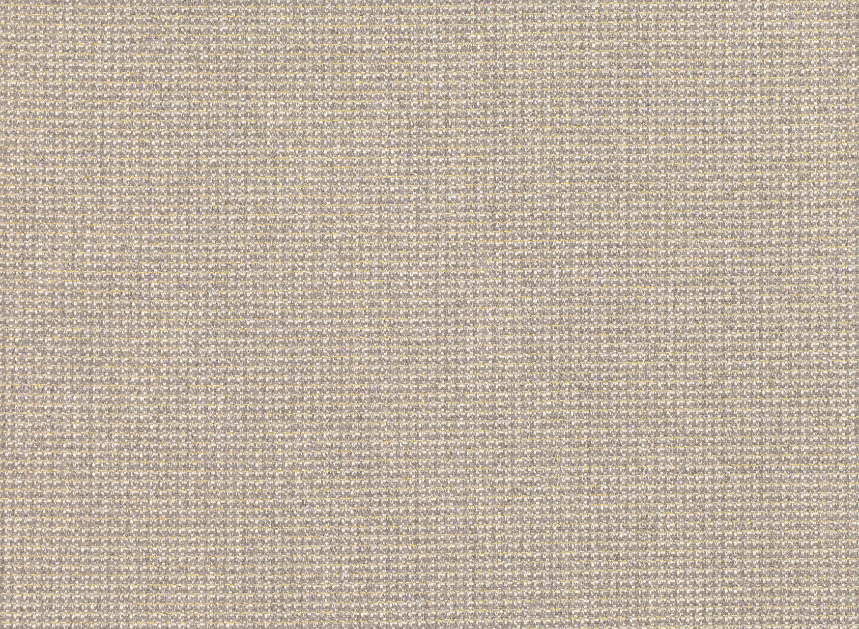Curio Ash K5189-01