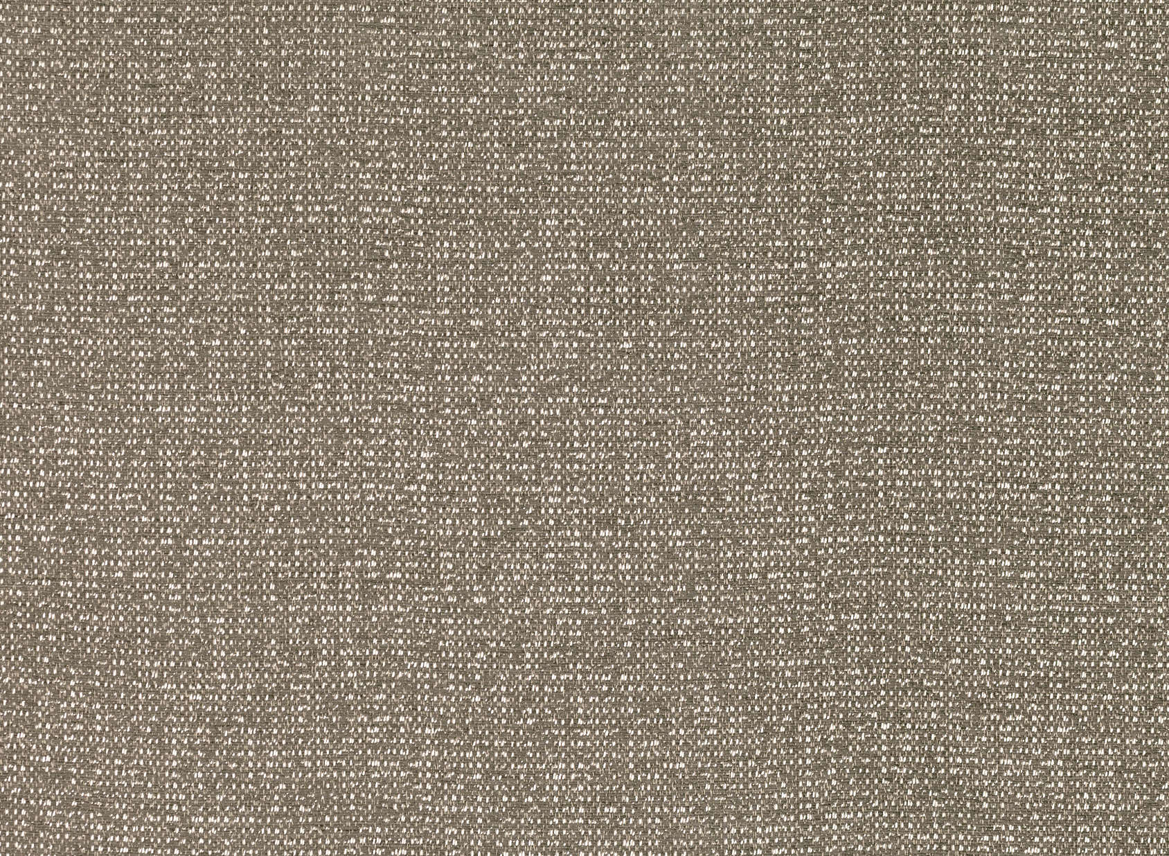 Curtis Lichen Z592-05