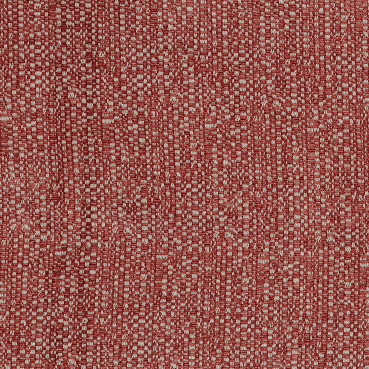 Cyrano NCF4310-01