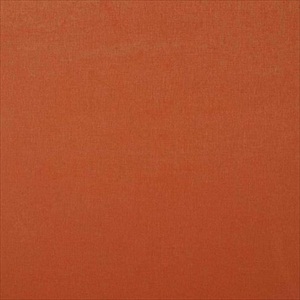 Arizona 4 D252 02 34