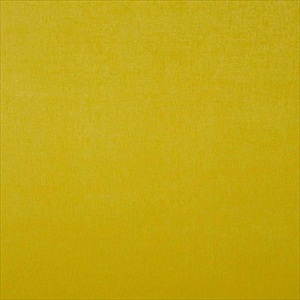 Arizona 4 D252 05 91