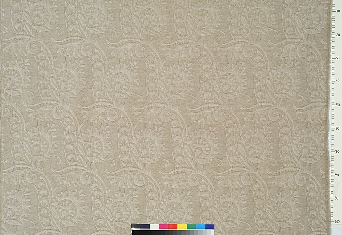 Damas 17116-003