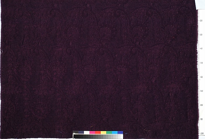Damas 17116-005