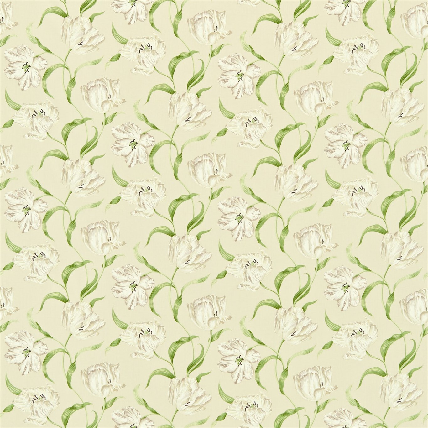 Dancing Tulips DMAY221948