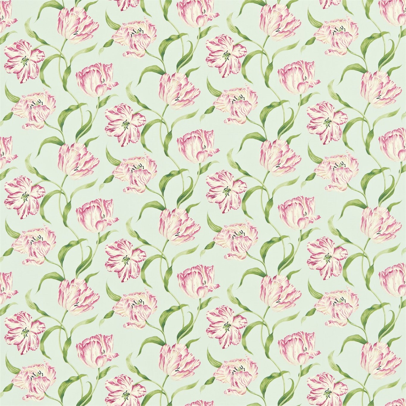 Dancing Tulips DMAY221950