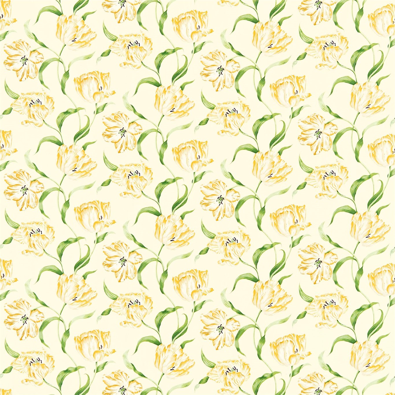 Dancing Tulips DMAY221951